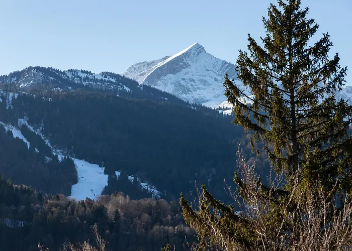 Mercure Alpenpanorama